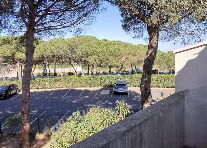 2 Pieces Mezzanine Avec Piscine Agde