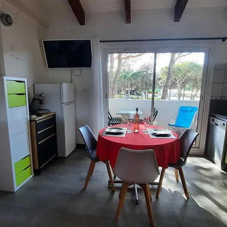 2 Pieces Mezzanine Avec Piscine 公寓 阿格德